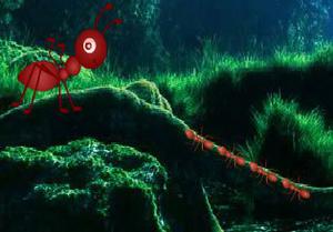 play Jumbo Ant Forest Escape