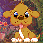 play Zoony Dog Rescue