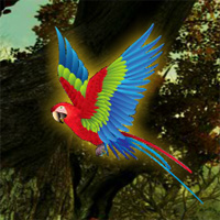 Macaw Fantasy Escape