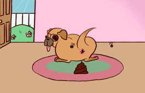 play Smells Like Home