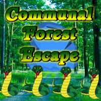 Communal-Forest-Escape-Games2Rule