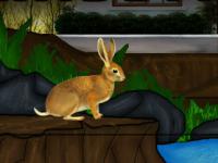 play Rabbit Rescue