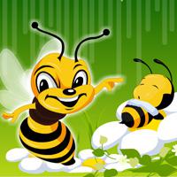 play Hog Hidden Bee