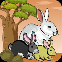 play G4E Bunny Forest Escape