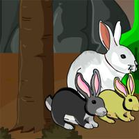 play Bunny Forest Escape