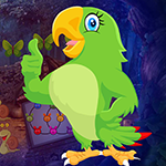 play Find Astrologer Parrot