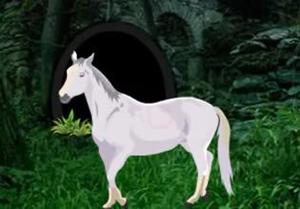 White Horse Trapped Escape