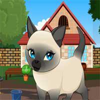 play Tonkinese-Cat-Rescue-Games4King