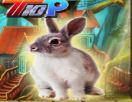 play Top10 Easter Rescue The Bunny