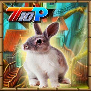 play Easter Rescue The Bunny