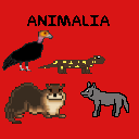 play Animalia