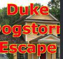 play Gb Duke Dogstorm Escape