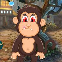 G4K-Cute-Monkey-Rescue-3