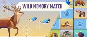 play Wild Memory