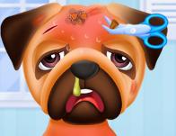 play Princesses Puppy Care