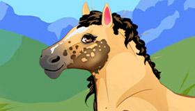 play My Little Pony Makeover