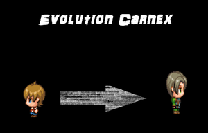 Evolution Carnex