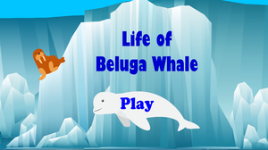 Life Of Beluga Whales