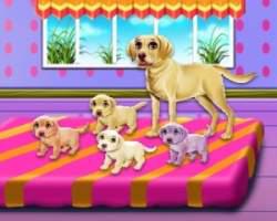 play Labrador Quadruplets Newborn Caring