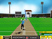 play Cricket Master