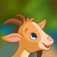 play Avmgames Trapped Goat Rescue