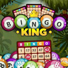 play Bingo King