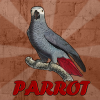 play G2J Grey Parrot Rescue