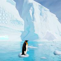 play Penguin-Escape-Home-Back