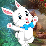 play Joyful Lepus Rescue