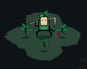 play Does Money Grow On Trees