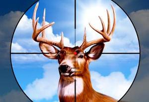 play Deer Hunter Training Camp