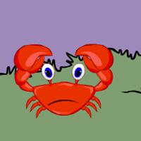 play Baby Crab Rescue