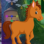 play Colt Horse Rescue