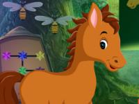 play Colt Horse Rescue