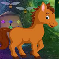 play Colt Horse Rescue