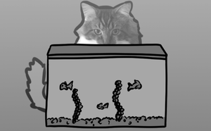 play S2019 Tail Of Catastrophe: A Cataclysm Of Epic Pawportions