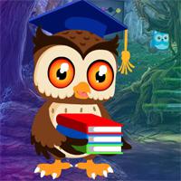 play Degree Owl Rescue