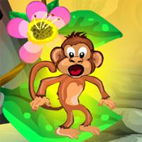 Jungle Monkey Rescue