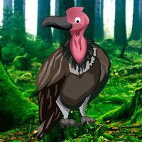 play Vulture Forest Escape