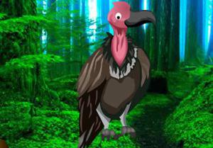 play Vulture Forest Escape