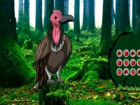 play Vulture Forest Escape