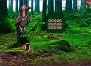 play Vulture Forest Escape