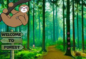 play Hungry Koala Escape