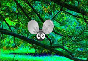 play Southern Forest Escape