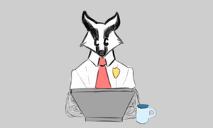 play Access Badger