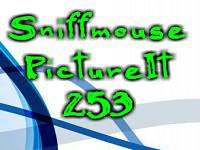 play Pictureit 253