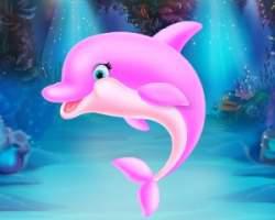 Cute Dolpfin Caring And Dressup