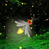 play Fireflies Night Forest Escape