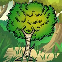 play Hidden Target-Pine Forest