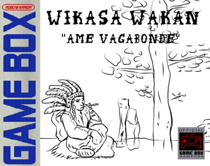 Wicasa Wakan